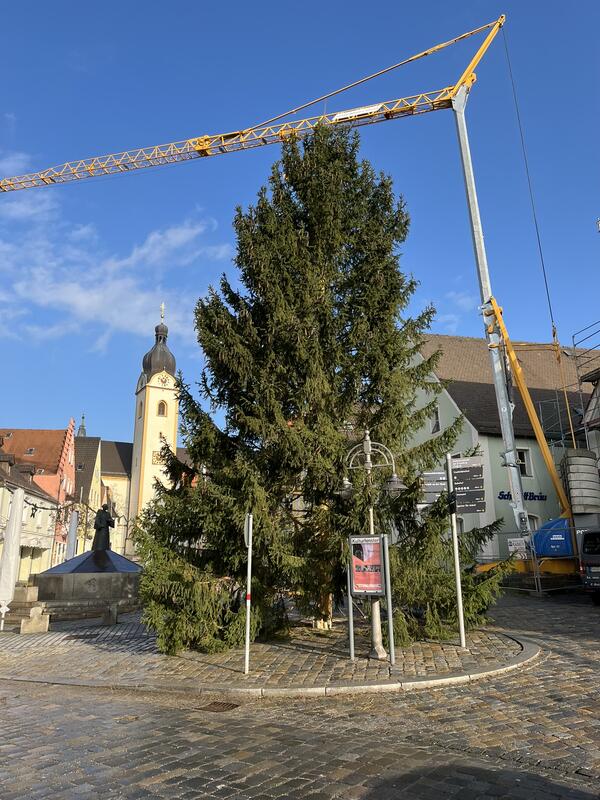 Bild vergrößern: Christbaum Marktplatz