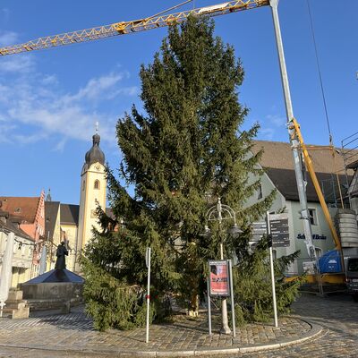 Christbaum Marktplatz