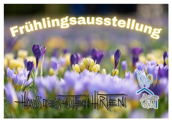 Bild vergr&ouml;&szlig;ern: Pfingstblumen auf einem Feld