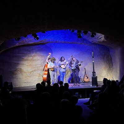 Vier Personen stehen auf der Bühne. Einer ist verdeckt mit seinem Kontrabass. Drei Sänger vor jeweils einem Mikrofon spielen die Gitarre, Banjo und Mandoline. Vereinzelte Silhouetten des Publikums sind im Vordergrund zu erkennen.