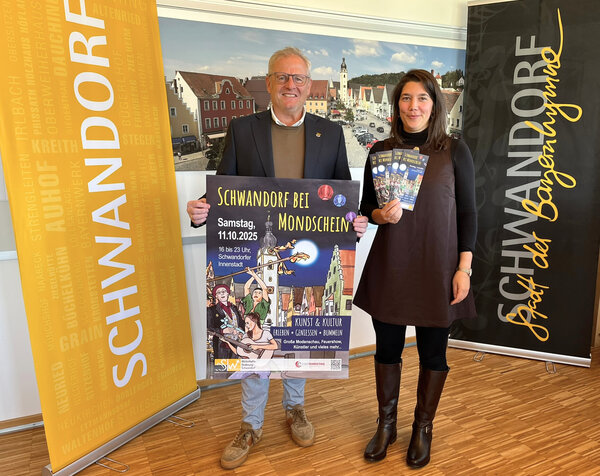 Bild vergrößern: Schwandorf bei Mondschein_Foto_Andreas Hofmeister