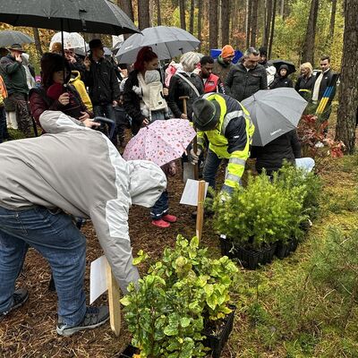 Bild vergrößern: Baumpflanzaktion Herbst 2025_Foto Lara Schmaus