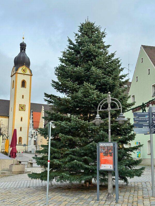Bild vergrößern: Christbaum Schwandorf 2025_Foto_Andreas Feller