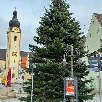 Christbaum Schwandorf 2025_Foto_Andreas Feller