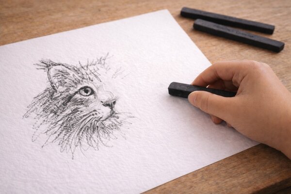 Bild vergr&ouml;&szlig;ern: Halb fertiges mit Graphit gezeichnetes Bild eines Katzenkopfs