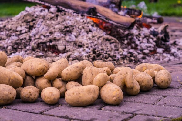 Bild vergr&ouml;&szlig;ern: Ein Haufen Kartoffeln liegen vor einer Feuerstelle
