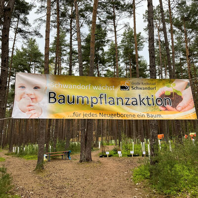 Bild vergr&ouml;&szlig;ern: Baumpflanzaktion Fr�hjahr 2026_Foto_Andreas Hofmeister (3)