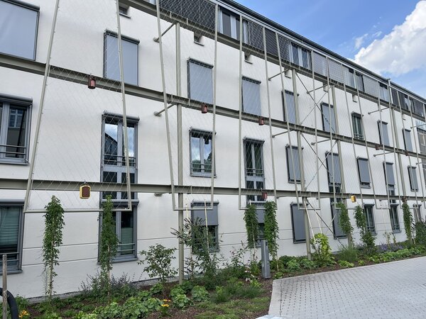 Bild vergr&ouml;&szlig;ern: Fassadenbegr&uuml;nung Rathaus SAD_Foto_Andreas Hofmeister (1)