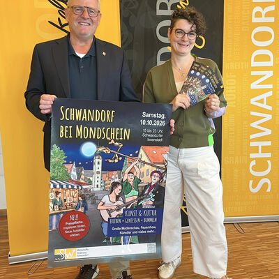 Schwandorf bei Mondschein 2026