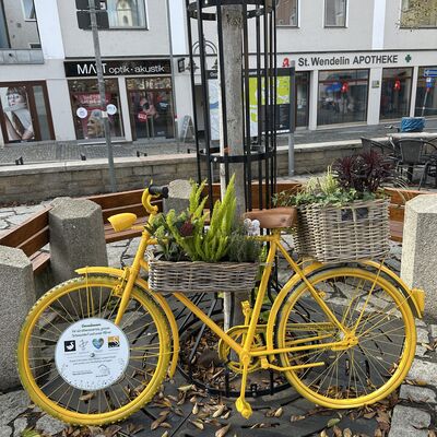 Bild vergr&ouml;&szlig;ern: 20261014_Bunte Fundr�der f�r die Innenstadt_Foto Lara Schmaus (8)