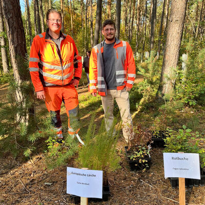 Bild vergr&ouml;&szlig;ern: Baumpflanzaktion Herbst 2026_Foto_Andreas Hofmeister (3)