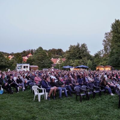 Bild vergrößern: Foto des Publikums beim Open-Air Kino im Stadtpark.